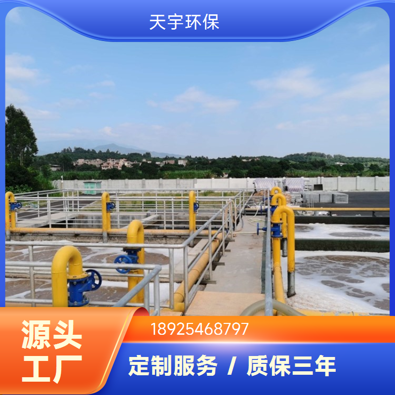 深度处理 标准回用 天宇环保 双级反渗透设备 可定制