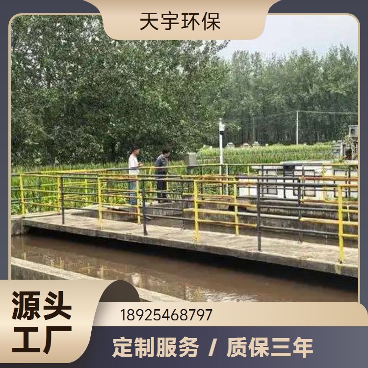 天宇生产 超纯水设备 可定制 化工行业 混床可选 2吨
