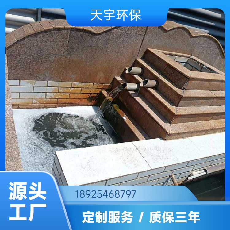 天宇环保 3吨 可定制 双级反渗透设备装置 超纯水设备