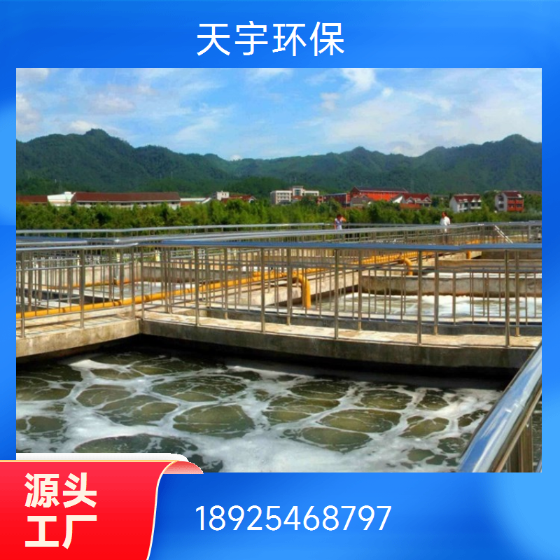EDI超纯水设备 非标定制 服务完善 可定制 天宇生产
