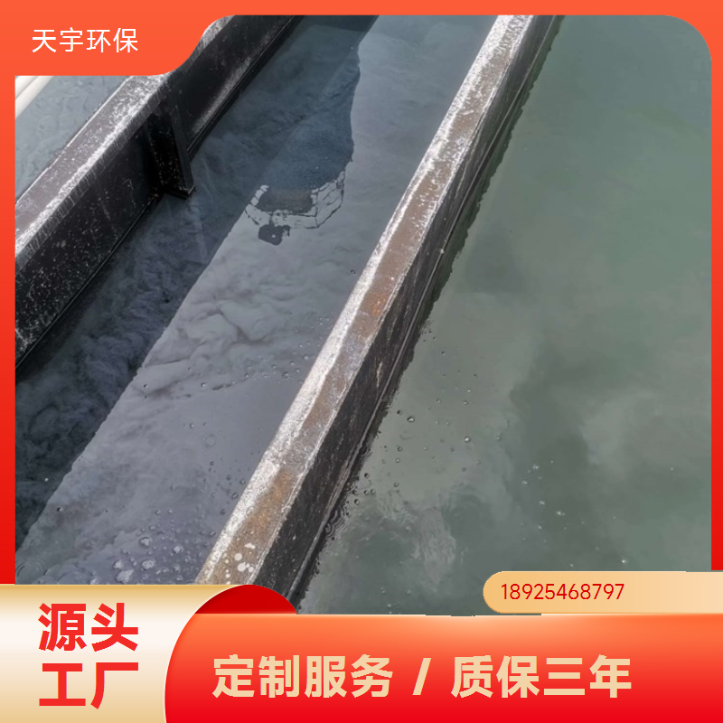 可定制 电镀电子工业水处理 双级反渗透设备 2吨 天宇环保