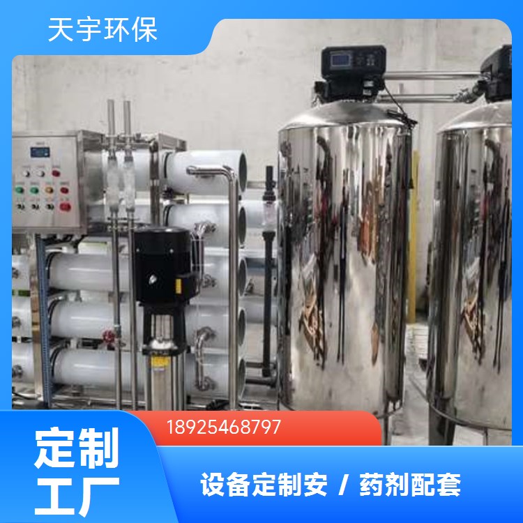 天宇 双级反渗透设备 全自动运行 智能化程度高