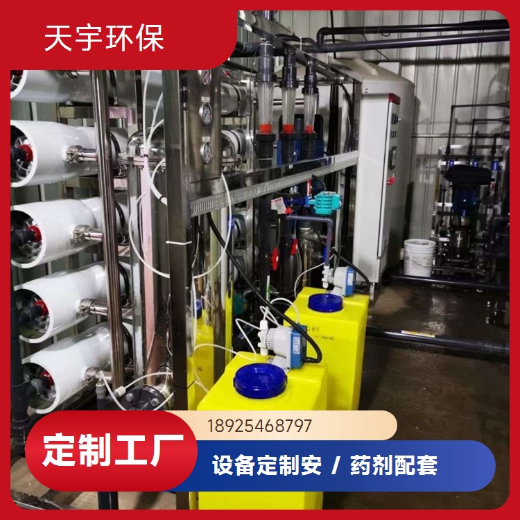 天宇生产 小型反渗透设备 可定制 5吨 一手好货 长期供应
