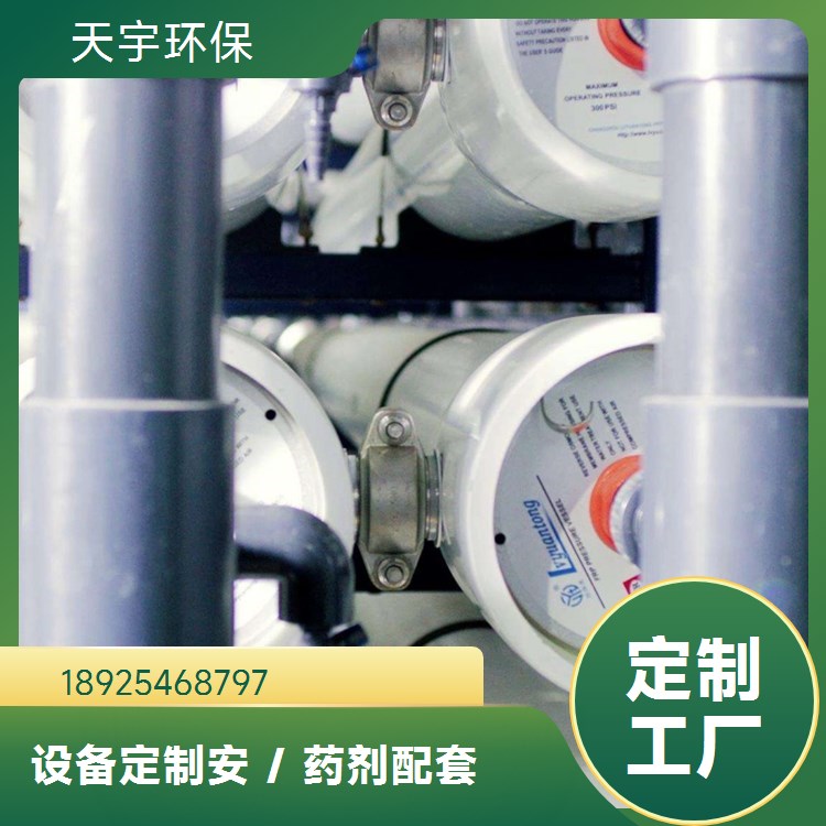 天宇环保 可批发 反渗透超纯水设备 涂装用反渗透设备