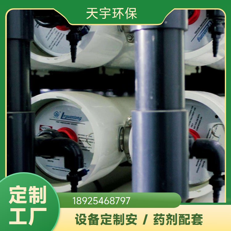 源厂定制 货源稳定 自动化超纯水设备 可定制 3吨 天宇环保