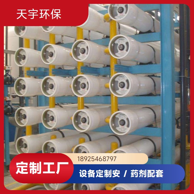天宇环保 超纯水设备 厂家定制工业纯水机 电子反渗透
