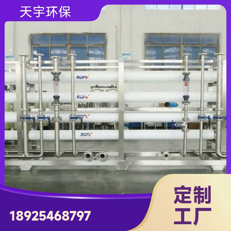 天宇环保 3吨 可定制 源厂定制 货源稳定 超纯水设备