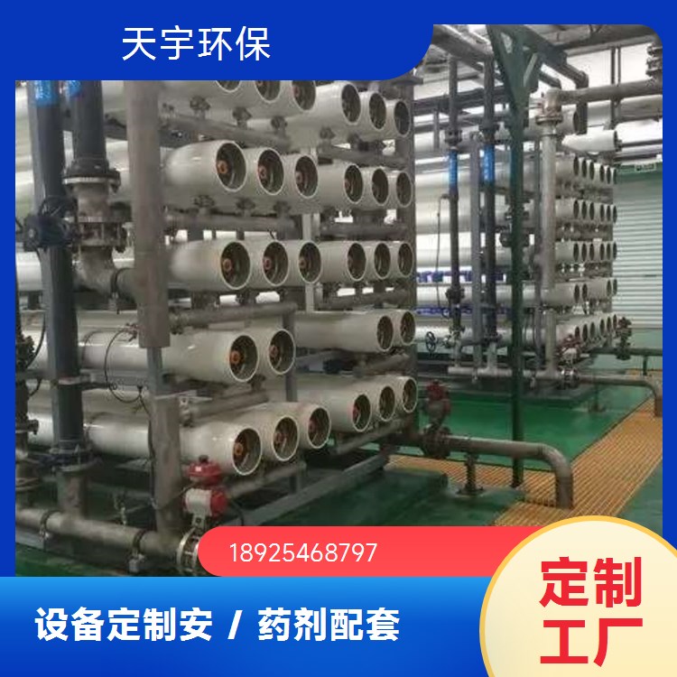 天宇生产 可批发 反渗透超纯水设备 多规格定制 可定制 5吨