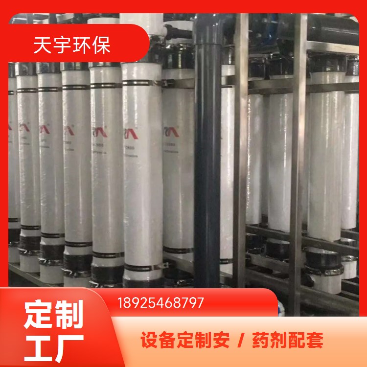 可定制 批发从优 源厂供应 超纯水设备 天宇生产