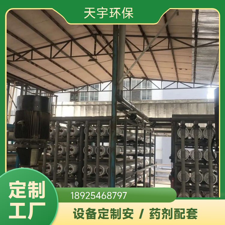 天宇环保 纯化水设备 大型水处理设备 全自动控制操作便捷