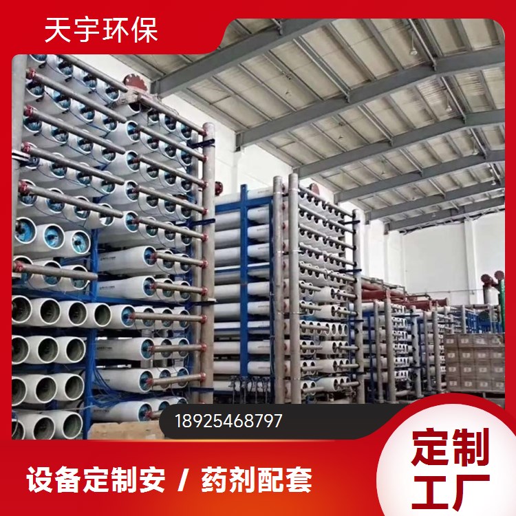天宇环保 超纯化水设备 EDI水处理设备 反渗透纯水加EDI