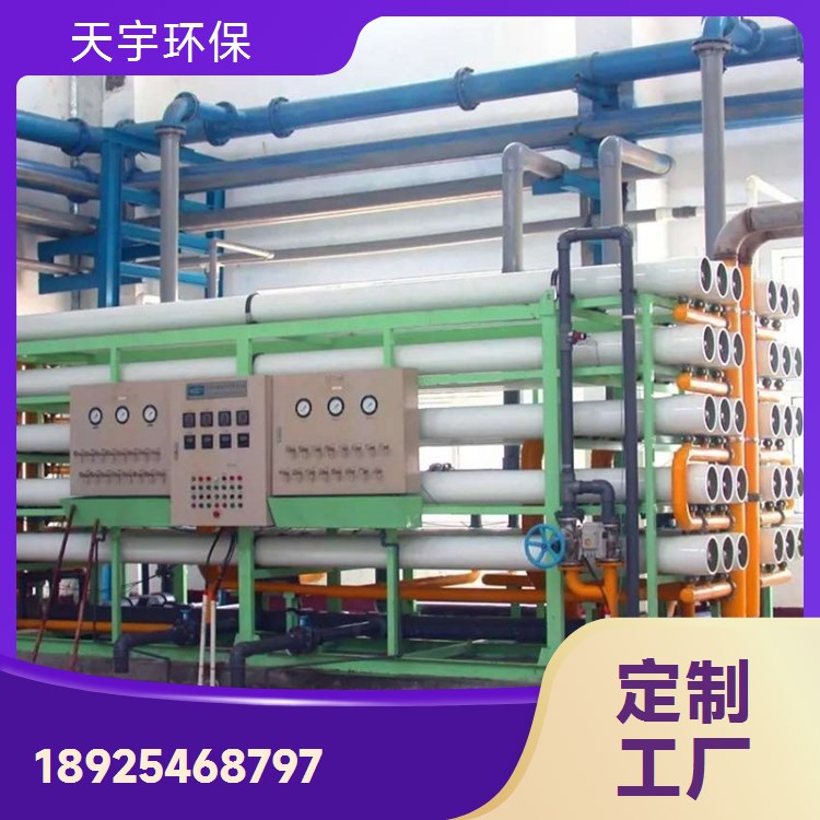 源厂生产 定制加工 可定制 自动化超纯水设备 天宇环保