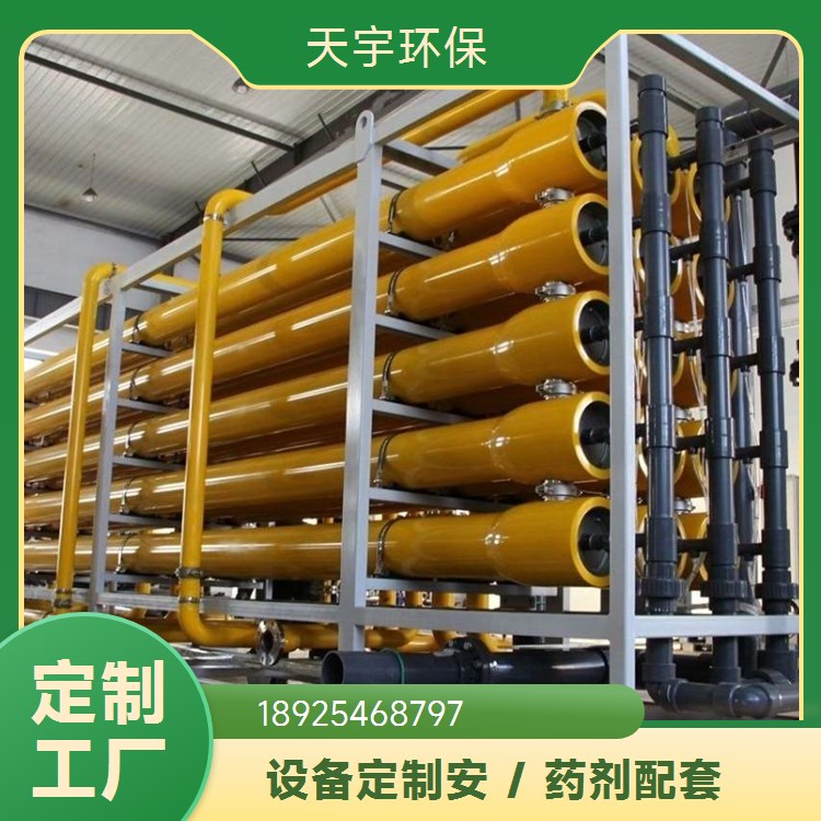 可批发 工业清洗反渗透设备 小型超纯水设备 天宇环保