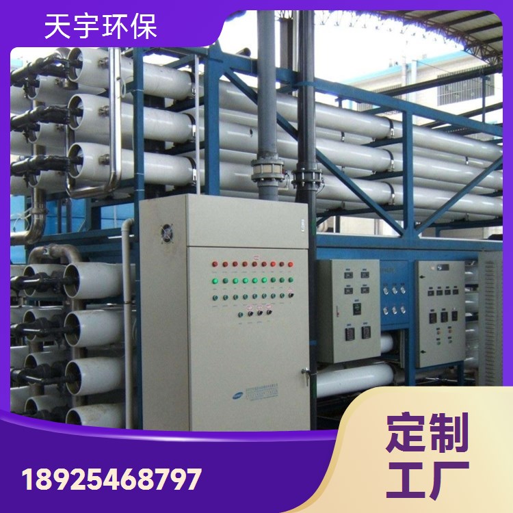 反渗透超纯水设备 加工定制 库存充足 可批发 天宇生产