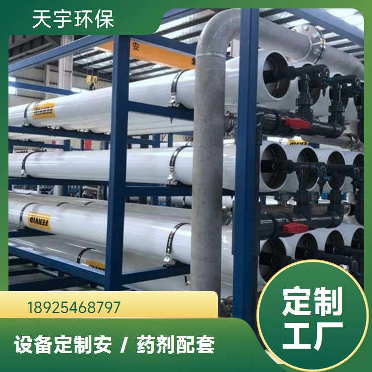 天宇环保 反渗透设备 电池反渗透RO纯水设备 超纯水设备