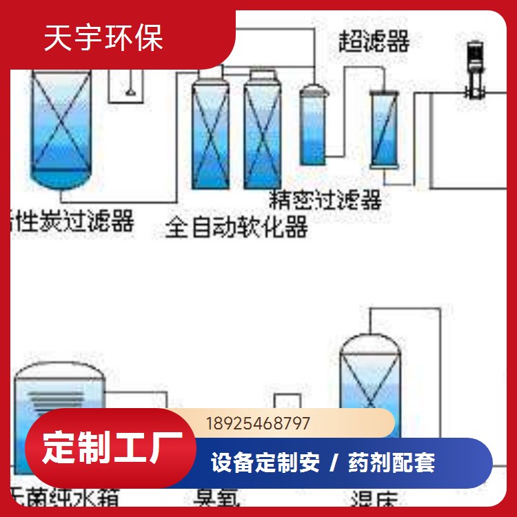EDI超纯水设备 2吨 可批发 多规格定制 可定制 天宇环保