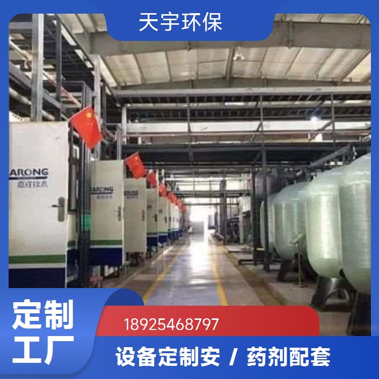 光学镜片清洗用超纯水设备 非标定制 服务完善 可定制 2吨 天宇环保