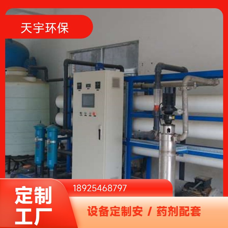 调节方便 长期供应 4吨 双级反渗透设备 可定制 天宇环保