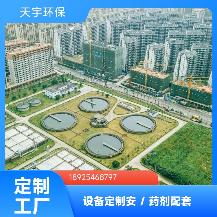 天宇生产 小型反渗透设备 0.25吨 可批发 非标定制 服务完善