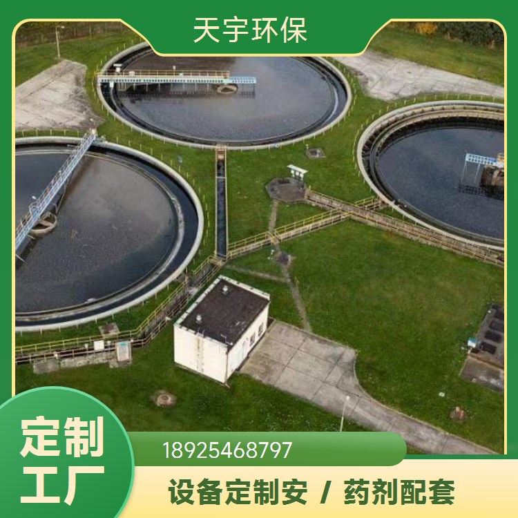 自动化超纯水设备 可定制 3吨 加工定制 库存充足 天宇环保