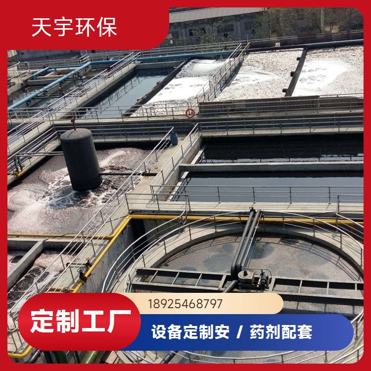 天宇生产 源厂定制 货源稳定 超纯水设备生产 可定制 2吨