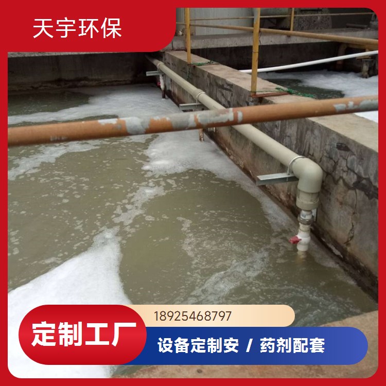 天宇生产 可批发 超纯水设备 5吨 多规格定制 可定制
