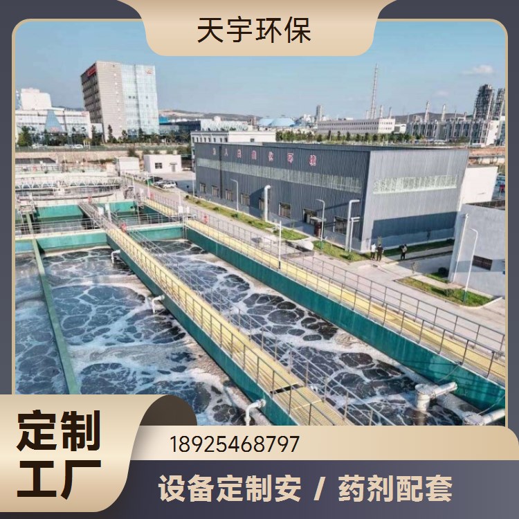 天宇环保 小型超纯水设备 多规格定制 可定制 可批发