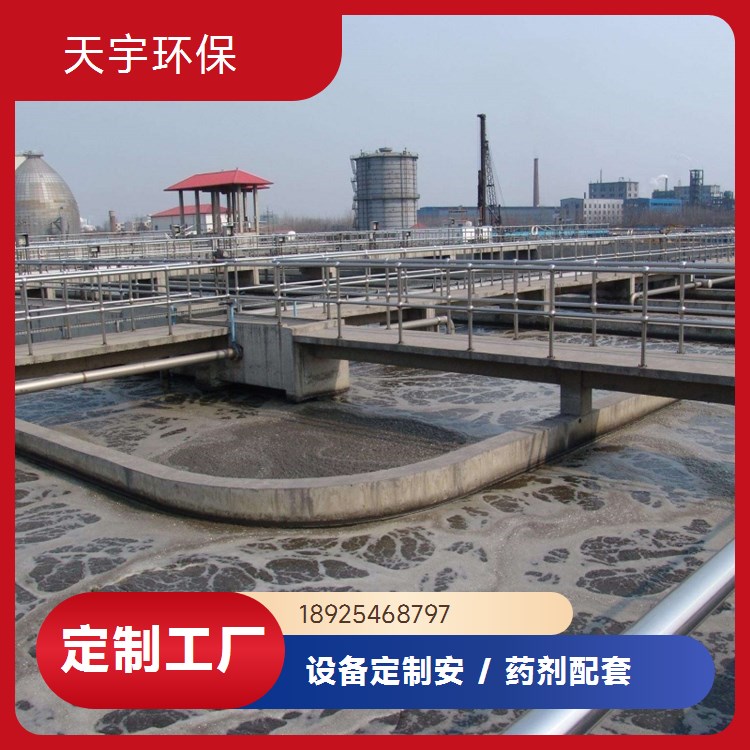 EDI设备 水处理设备工业反渗透 天宇 3吨 超纯水设备