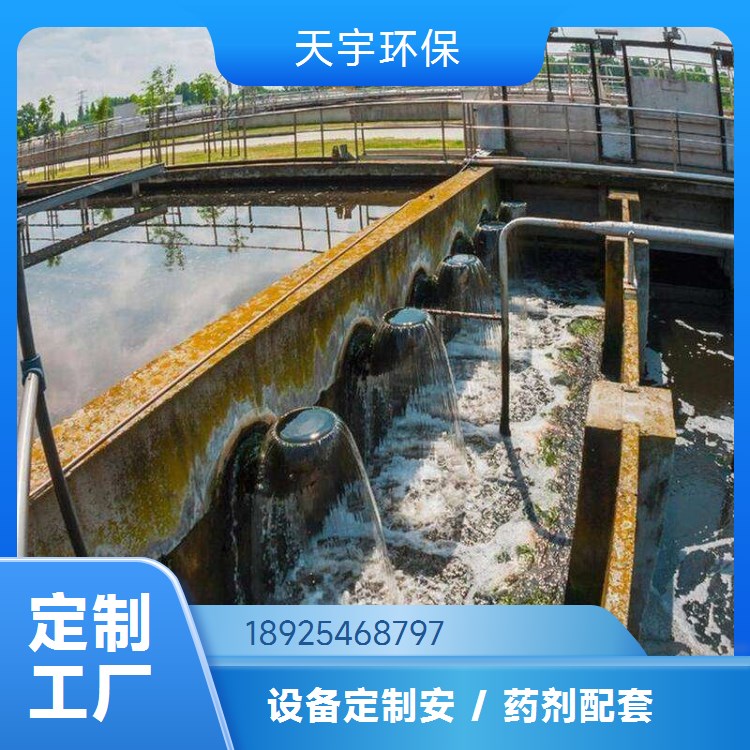 小型超纯水设备 非标定制 服务完善 可批发 天宇环保