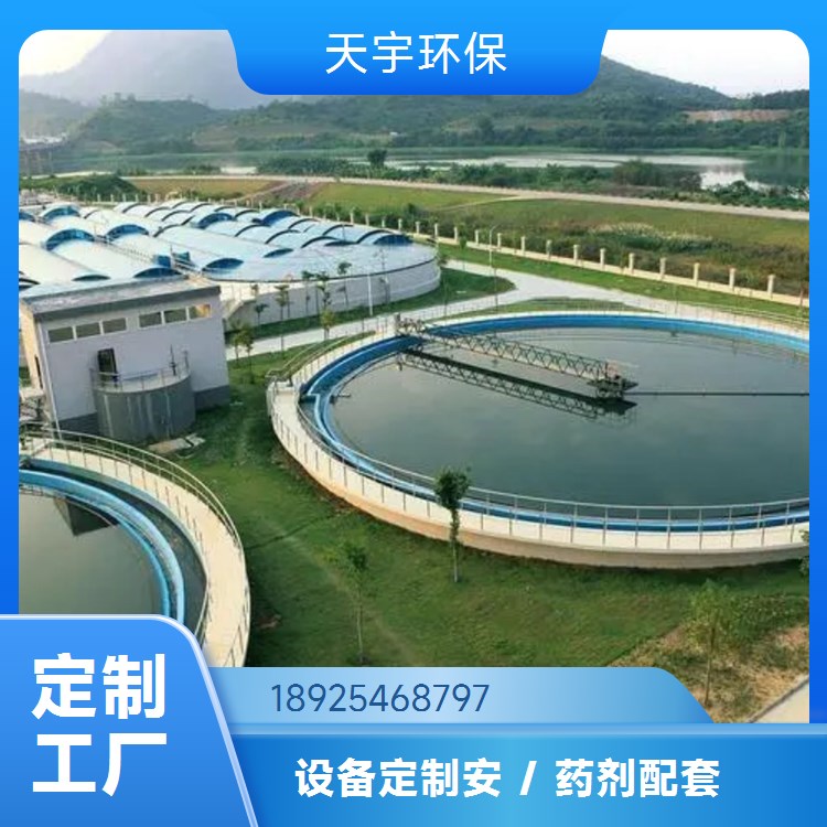 天宇环保 超纯水设备 过滤净水 工业用水生活饮水反渗透处理器