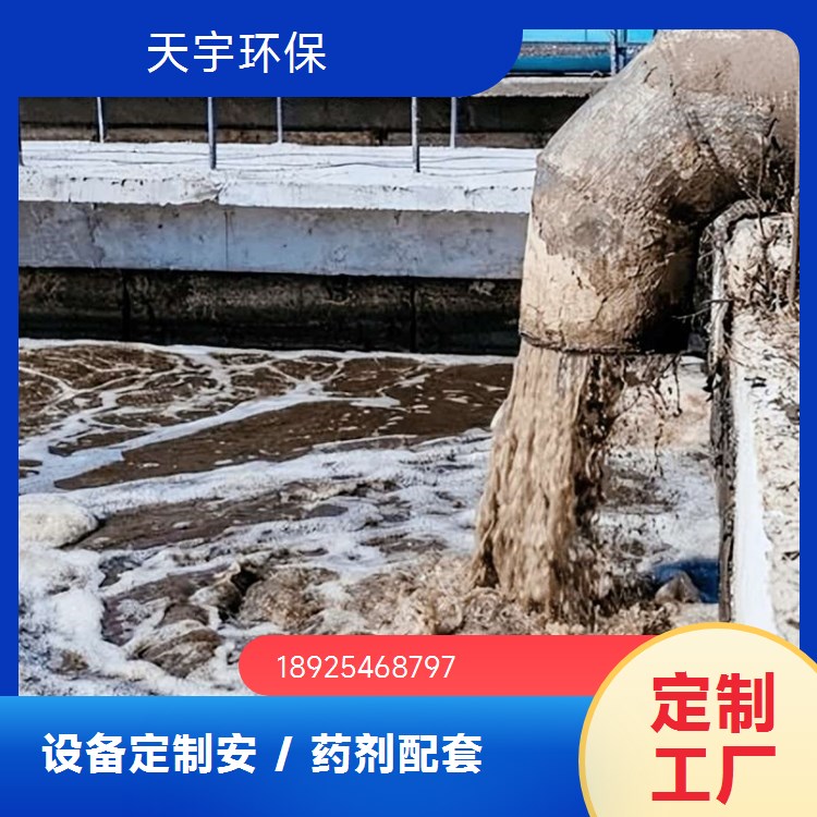 天宇生产 双级纯水设备 可定制 货源充足 库存充足