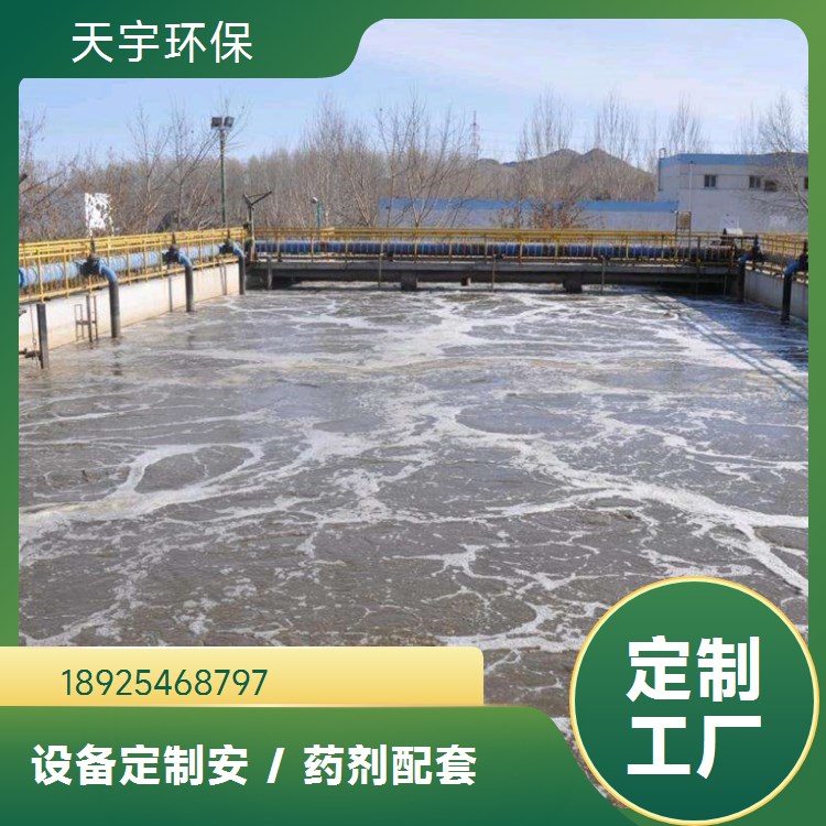 可定制 非标定制 服务完善 反渗透超纯水设备 天宇环保