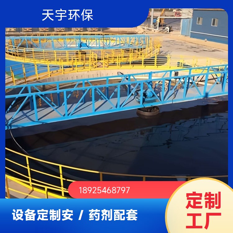 双级反渗透设备 0.5吨 可批发 电镀电子工业水处理 天宇环保