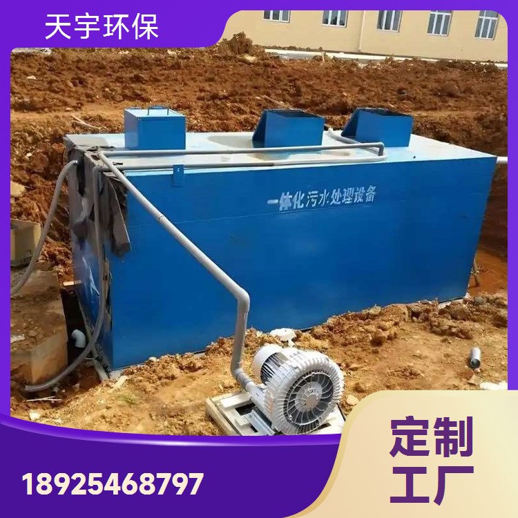 天宇环保 自动化超纯水设备 可定制 双级反渗透设备装置