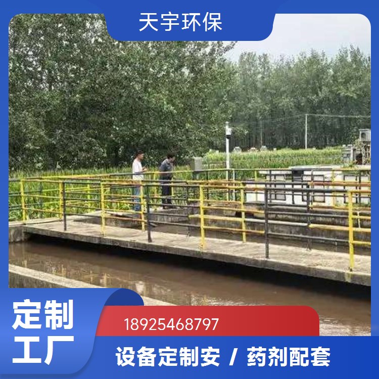 天宇环保 超纯水反渗透设备 纯水设备 除盐水设备