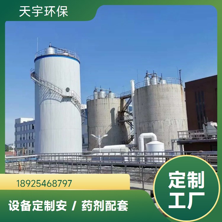 纯水设备 天宇环保 双级反渗透设备 工业去离子水处理