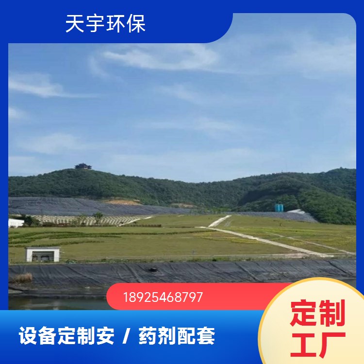 可定制 源厂定制 货源稳定 小型超纯水设备 2吨 天宇环保