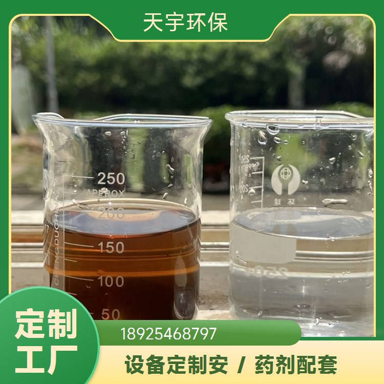 可定制 双级反渗透设备 源厂定制 货源稳定 2吨 天宇环保