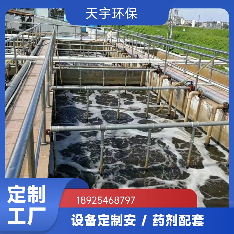 天宇环保 超纯水设备 一体化去离子水设备 RO反渗透装置