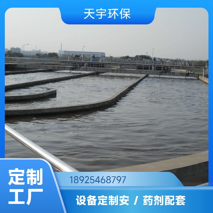 可定制 工业超纯水设备 批发从优 源厂供应 天宇环保