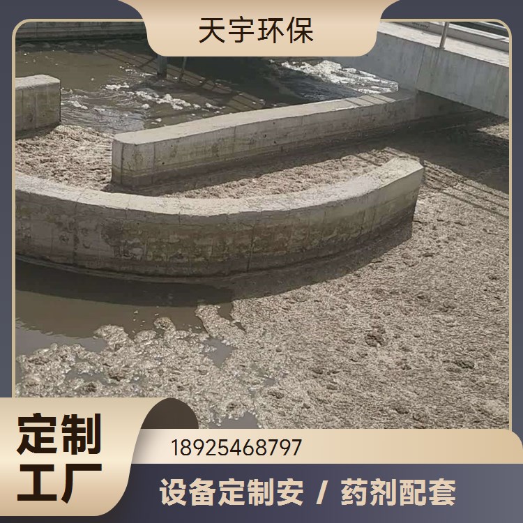 天宇环保 超纯水设备 化工用水设备 反渗透水处理设备