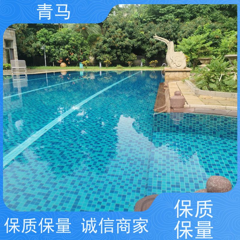 青马 别墅游泳池 适用于水上乐园 按需定制 免费测量