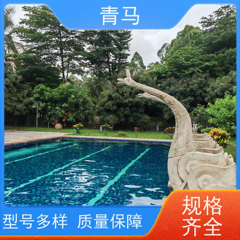 青马 社区游泳池 适用于健身俱乐部 设计 施工 维护 一站式服务