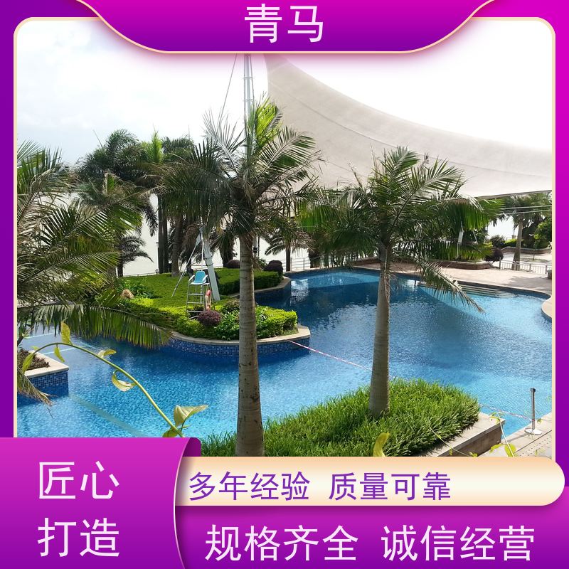 青马 恒温泳池 适用于体育馆 现代简约 多种颜色