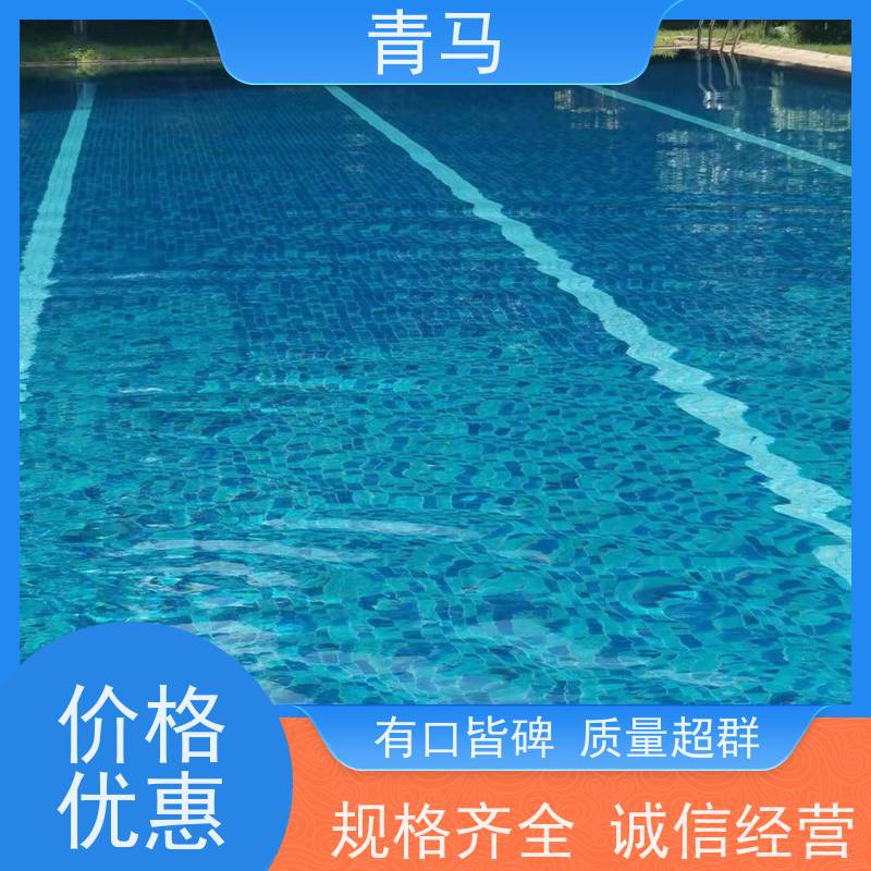 青马 休闲泳池 适用于水上乐园 设计 施工 维护 一站式服务