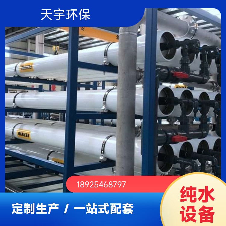 天宇环保 批发从优 源厂供应 1吨 反渗透水处理设备 可定制