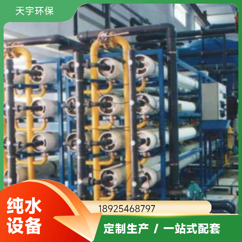 超纯水设备 半导体去离子水设备 3吨 可批发 天宇环保