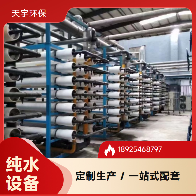 天宇生产 4吨 小型反渗透设备 源厂定制 货源稳定 可定制