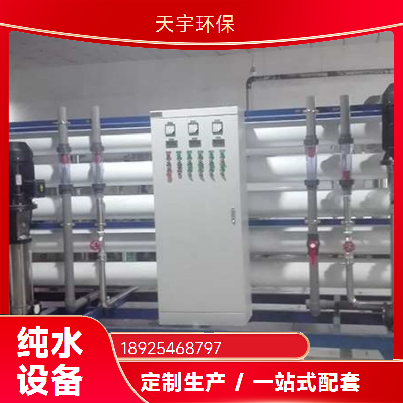 EDI高纯水制取装置 天宇环保 超纯水设备 反渗透水处理设备