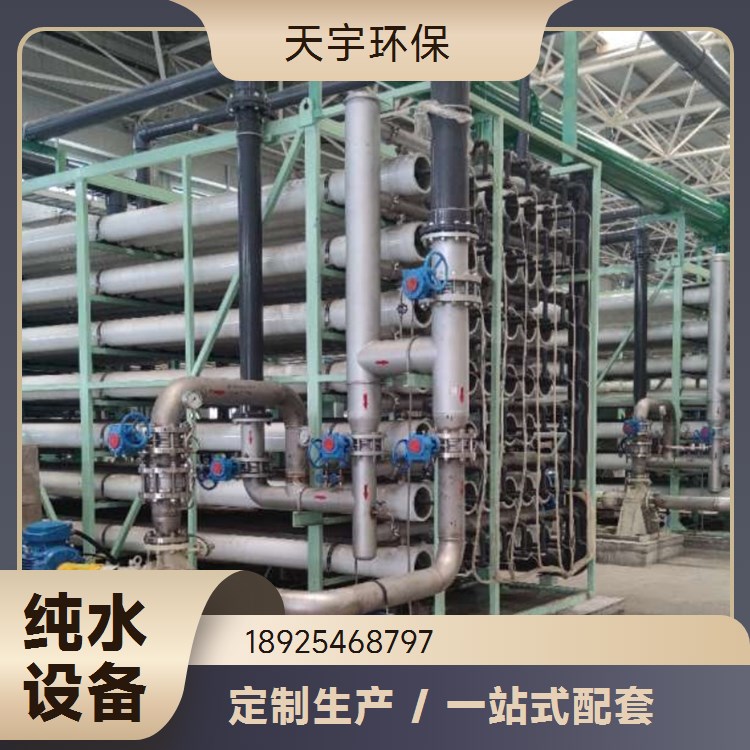 EDI超纯水设备 可定制 加工定制 库存充足 天宇环保
